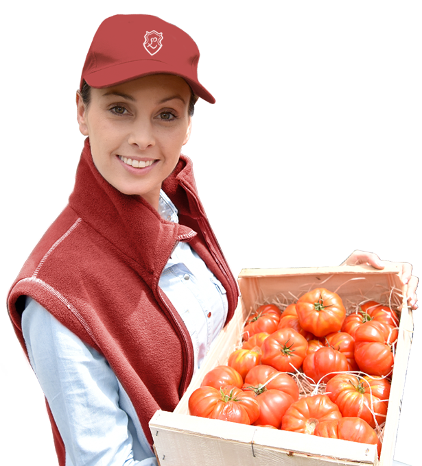 lpfahrer-lieferantin-2colhoc