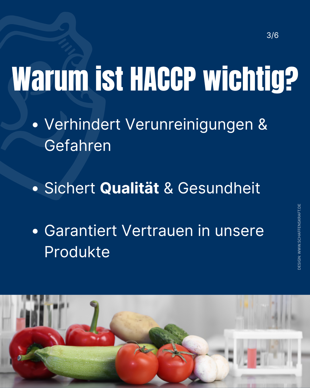 HACCP und Lebensmittelsicherheit erklärt …